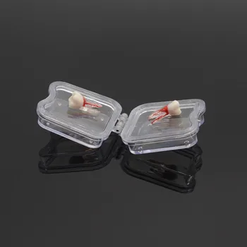 Zobna Proteza Škatla za Shranjevanje/ Membrane Pregleden Zob Polje z Filmski Laboratorij Za Blago