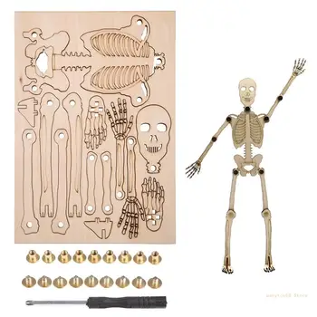 Y4UD 3D Človeški Skelet Modela Darilo za Rojstni dan Otroci Izobraževalne Uganke Razredu Oskrbe